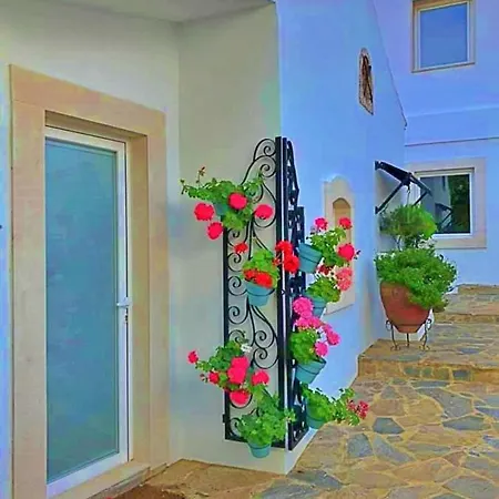Hortensia - Quinta Casalinho Da Azenha