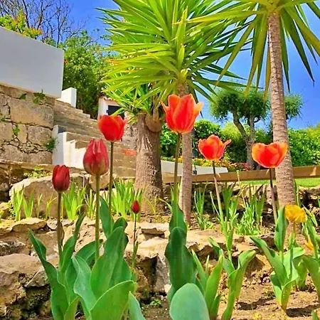 Oda ve Kahvaltı Hortensia - Quinta Casalinho Da Azenha Sintra