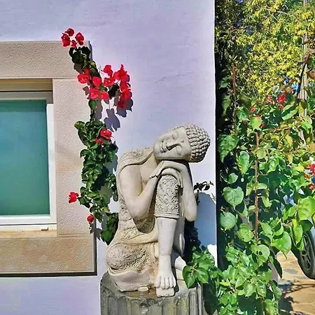 Hortensia - Quinta Casalinho Da Azenha Oda ve Kahvaltı *